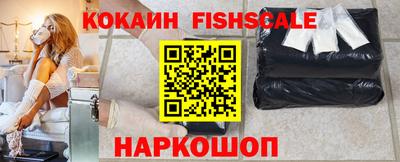 индика Гай