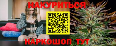 индика Гай