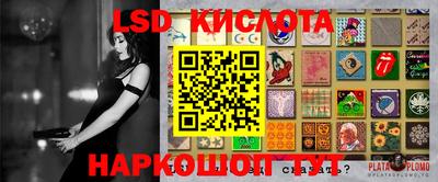 стафф Гатчина