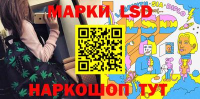 стафф Гатчина
