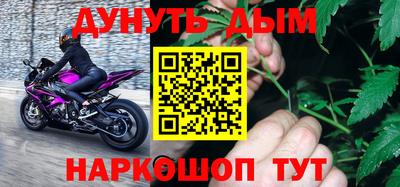 индика Гай
