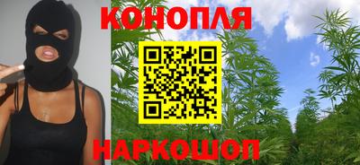 стафф Гатчина