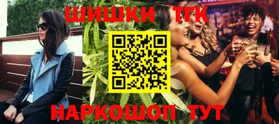 индика Гай