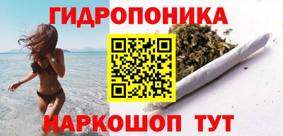 индика Гай