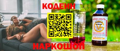 индика Гай
